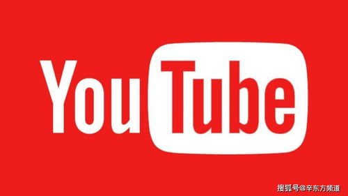 网红博主,荣获2019 年度影响力人物 李子柒是如何登陆 youtube 的