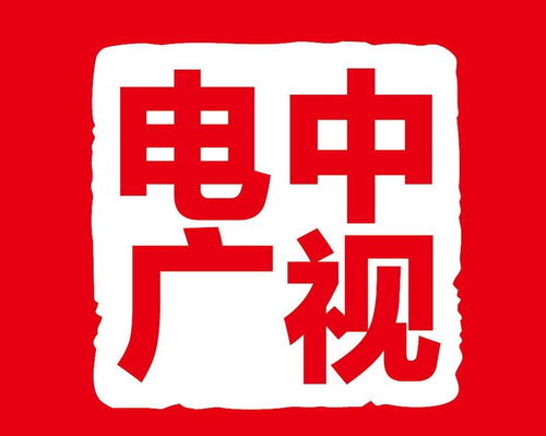 北京中视电广影视