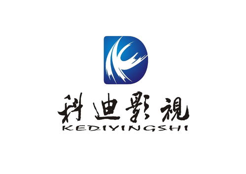 深圳市科迪影视