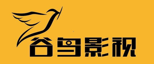 江苏谷鸟影视文化传媒