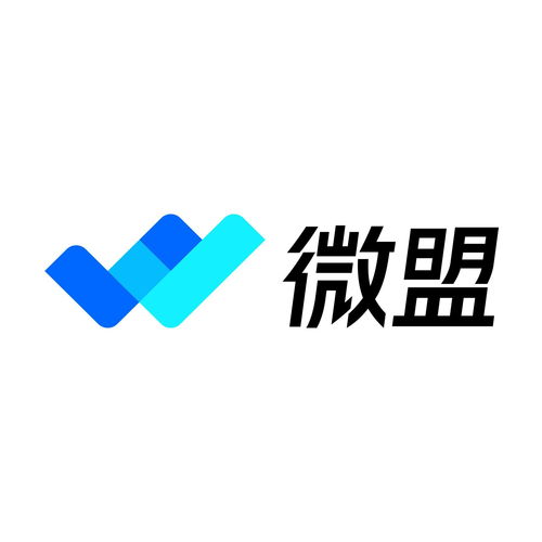 上海微盟企业发展