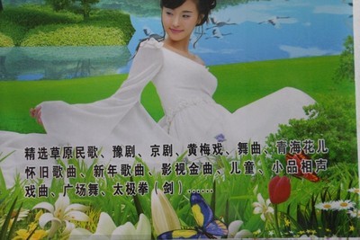 【4g内存卡 戏曲卡中国好声音7288首精选版草原民歌豫剧黄梅戏舞等】价格,厂家,图片,存储卡/闪存卡,赣榆县青口镇远程日用百货商店-